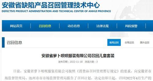 服装爆料最新消息新闻,时尚界新潮流，服装界最新动态揭秘